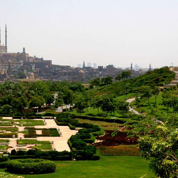 Da der El-Azhar Park auf einer Muellhalde gebaut ist, kann man von der Erhoehung den tollen Blick auf die Zitadelle geniessen. Auch sieht man hier schoen die Weitflaechigkeit des Parks.
